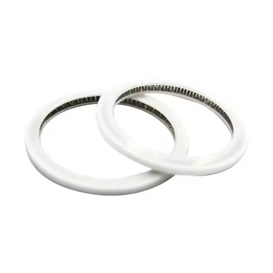 ANILLO DE SELLADO DE LENTE WSXLH G2005-01 LASER 20.5MM