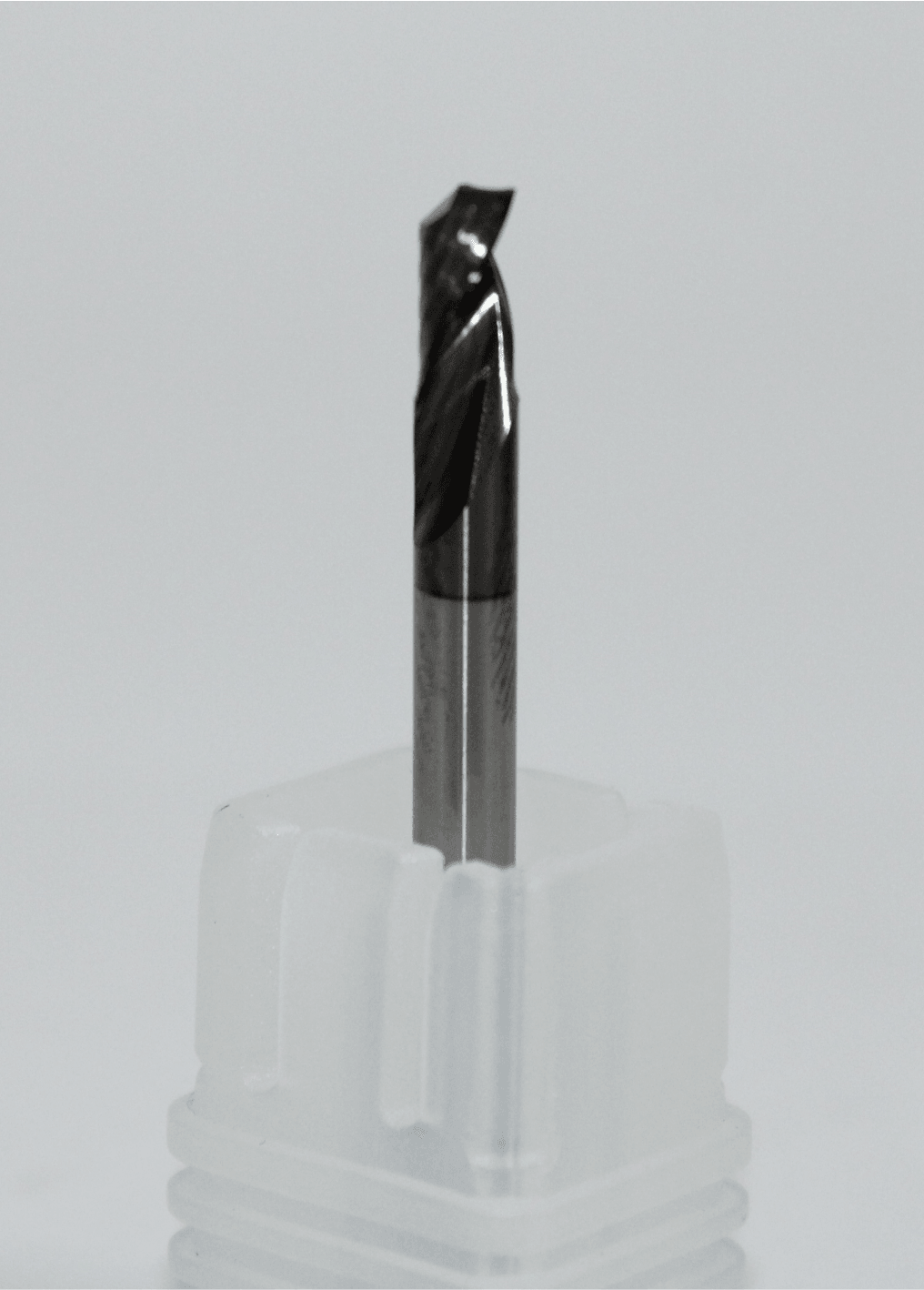 Sfe102 2025